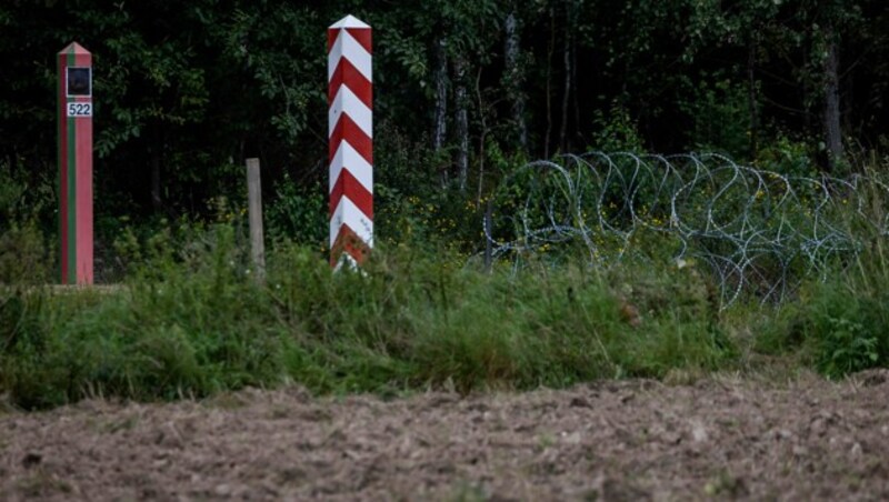 Diese Stacheldrahtrollen sollen durch einen zweieinhalb Meter hohen Grenzzaun ersetzt werden, um den Migrantenansturm aus Weißrussland zu stoppen. (Bild: APA/AFP/Wojtek RADWANSKI)