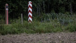 Diese Stacheldrahtrollen sollen durch einen zweieinhalb Meter hohen Grenzzaun ersetzt werden, um den Migrantenansturm aus Weißrussland zu stoppen. (Bild: APA/AFP/Wojtek RADWANSKI)