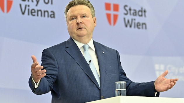 Bürgermeister Ludwig (Bild: APA/Hans Punz)