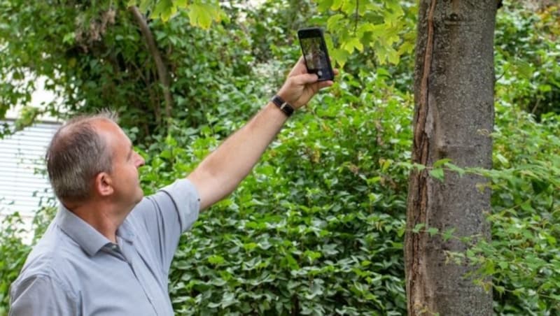 Landtagsabgeordneter Gerhard Bachmann nutzt die App ebenfalls, weil er viel draußen ist. (Bild: Bachmann)