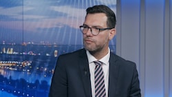 Wiens Bildungsdirektor Heinrich Himmer (Bild: krone.tv)