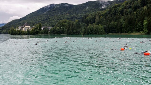 Über 200 Schwimmer durchquerten Samstag trotz Regen den Fuschlsee. (Bild: Fuschlseecrossing/Mandl)