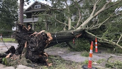 New Orleans: Auch Bäume wurden durch den Hurrikan „Ida“ entwurzelt. (Bild: The Associated Press)