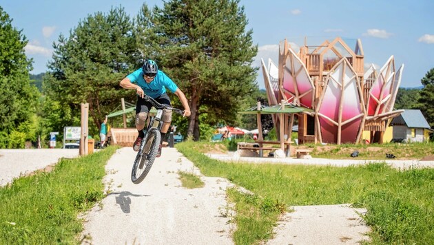 Im Bike-Eldorado kann man den Radparcours fahren oder unter schattenspendenden Seerosenblättern rasten. (Bild: TV St. Kanzian/Erwin Haiden)