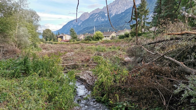 Kaum wiederzuerkennen ist der Brennerle-Auwald in Lienz. Die Bäume und Sträucher mussten Sicherheitsmaßnahmen weichen. (Bild: Verein Natur Osttirol)