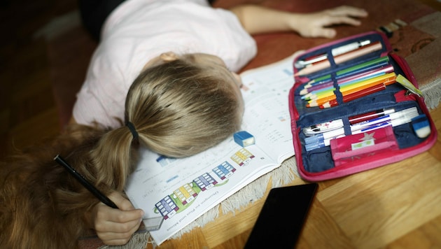 Im Home Schooling fehlt jungen Menschen der soziale Kontakt und die Routine. (Bild: APA/Erwin Scheriau)