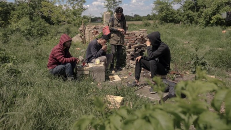 Eine Gruppe von Migranten an der serbisch-ungarischen Grenze (Bild: AFP)