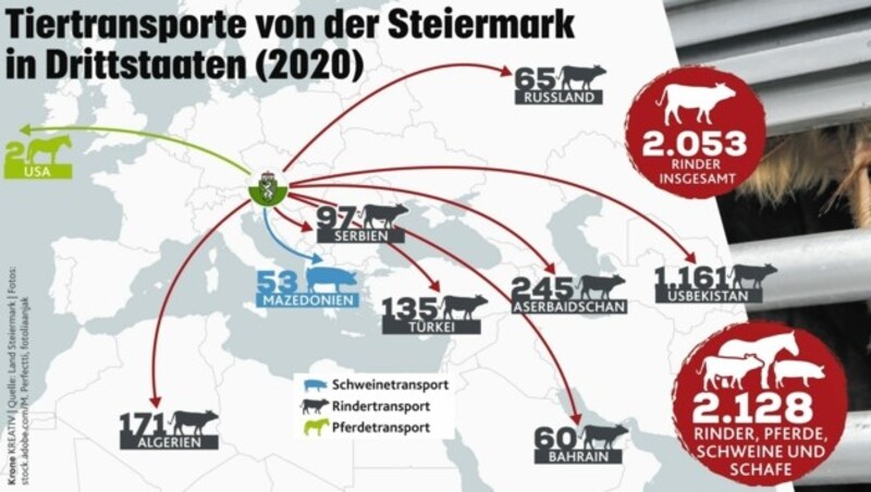 (Bild: Krone Kreativ)