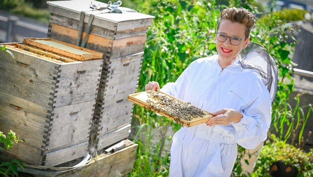 Gar nicht ängstlich inspizierte Eva Schobesberger die Bienenwabe. (Bild: Alexander Schwarzl)