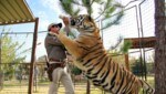 Joe Exotic füttert in der TV-Doku „Tiger King“ einen Tiger. (Bild: ©2020 NETFLIX)