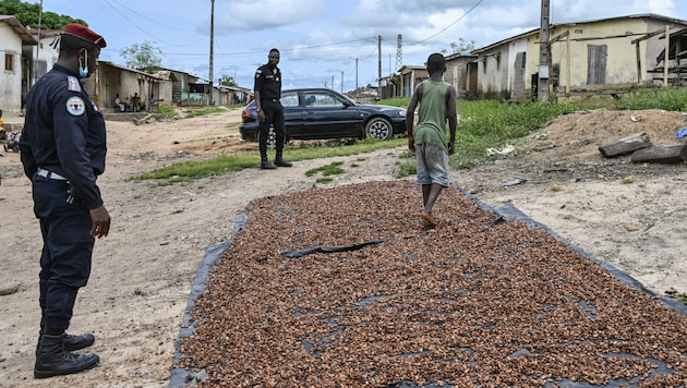 Polizisten beenden Kinderarbeit beim Kakaoanbau in der Elfenbeinküste. (Bild: AFP)