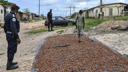 Polizisten beenden Kinderarbeit beim Kakaoanbau in der Elfenbeinküste. (Bild: AFP)
