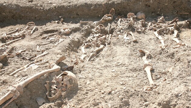 Bisher wurden 45 Skelette gefunden, es dürften aber weit mehr sein. (Bild: Christoph Miehl)