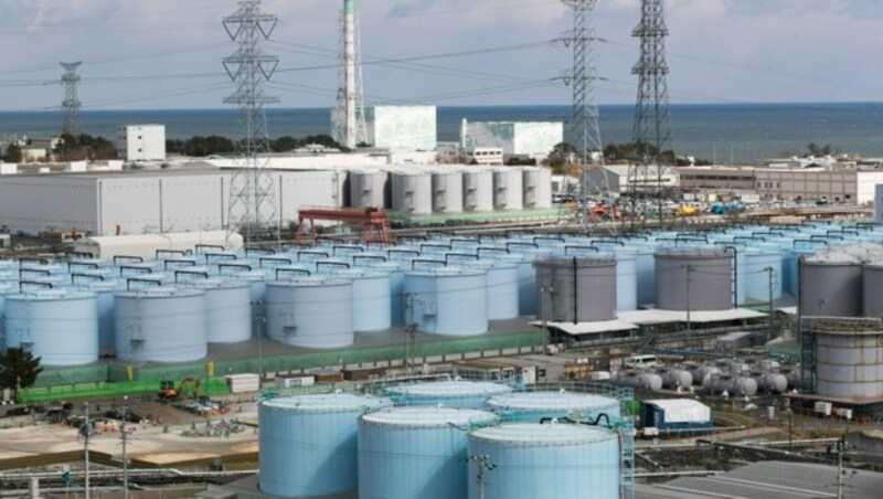 Schlangen helfen jetzt bei der Überwachung des Atomkraftwerks Fukushima in Japan. (Bild: AP)