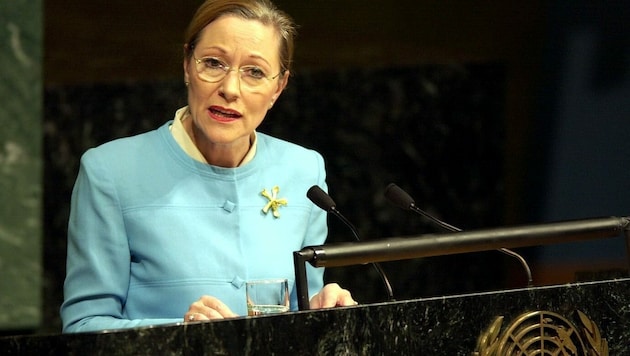 Ex-Außenministerin Benita Ferrero-Waldner bei einer Rede vor den Vereinten Nationen im November 2001, nur wenige Monate nach den Terroranschlägen von 9/11. (Bild: HOPI-MEDIA/APA/Bernhard J.Holzner)