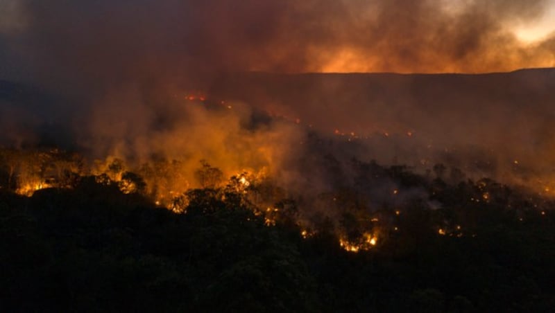 Mit einer Fläche von zwei Millionen Quadratkilometern umfassen die Cerrados ein Gebiet von der Größe Alaskas. (Bild: AFP/MATEUS MORBECK)