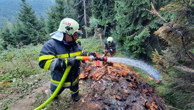 Waldbrand in Wörschachwald, (Bild: Feuerwehren)