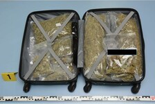 Im Zuge der Ermittlungen wurden der Verkauf von 22 Kilo Marihuana geklärt, sechs Beschuldigte festgenommen und Drogen im Straßenverkaufswert von 50.000 Euro sichergestellt. (Bild: Polizeiinspektion Braunau)