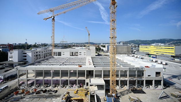 Beim Bau der Tiefkühl- und Pharmahalle (oben) und dem Aussichtsturm ist man voll auf Kurs (Bild: Alexander Schwarzl)
