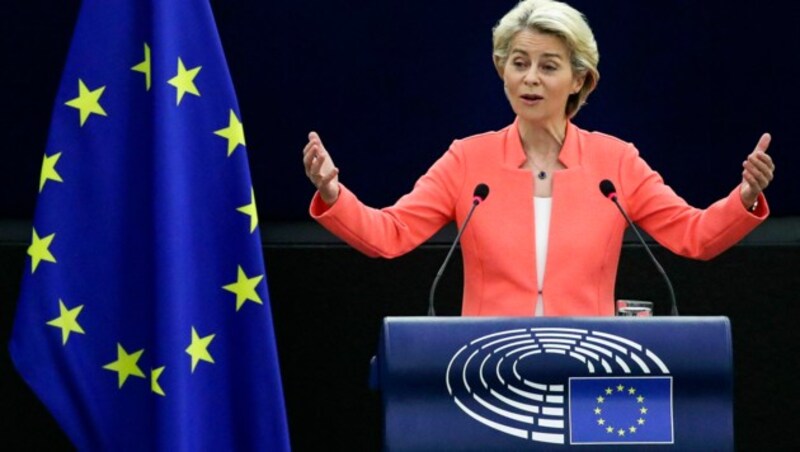 EU-Kommissionspräsidentin Ursula von der Leyen (Bild: AFP)