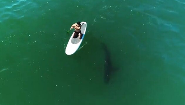 Orlando Bloom hatte vor der Küste Miamis eine Begegnung mit einem Weißen Hai. (Bild: instagram.com/orlandobloom)