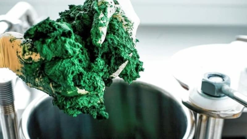 Sieht aus wie Cremespinat, ist aber die nährstoffreiche Mikroalge Spirulina, die man in Getränke oder Speisen mischt. (Bild: Spirulix)