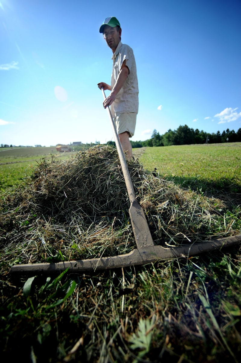 Stolze 94 Prozent der Bevölkerung haben ein positives Bild über den Berufsstand des Landwirts. (Bild: APA/BARBARA GINDL)