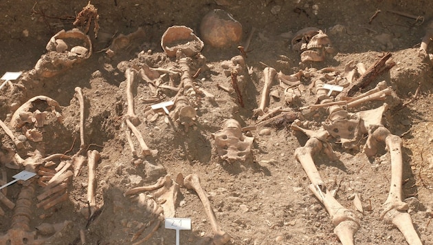 Rund 80 Skelette wurden in Sankt Margarethen entdeckt. Nun konnten die Archäologen auch Schmuck der Verstorbenen aus dem 12. Jahrhundert sicherstellen. (Bild: Christoph Miehl)