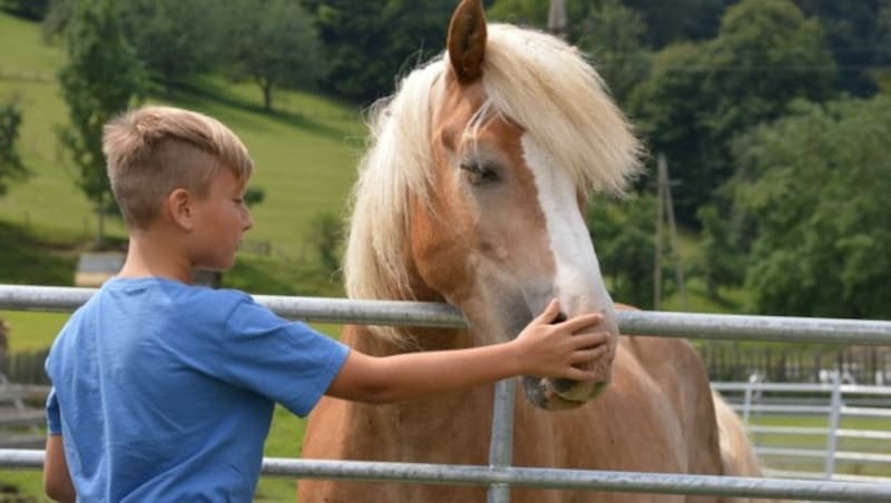 (Bild: Team Kinderbauernhof)