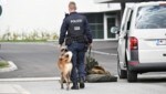 Auch mit Polizeihunden wird gesucht (Bild: P. Huber)