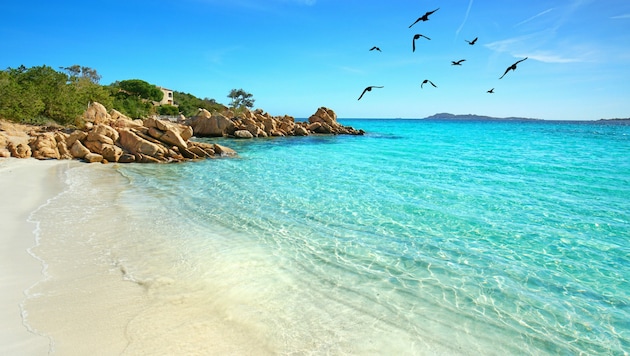 Immer wieder nehmen Touristen verbotenerweise Sand vom weltberühmten Sandstrand der Costa Smeralda auf Sardinien mit. (Bild: ©Jenny Sturm - stock.adobe.com)