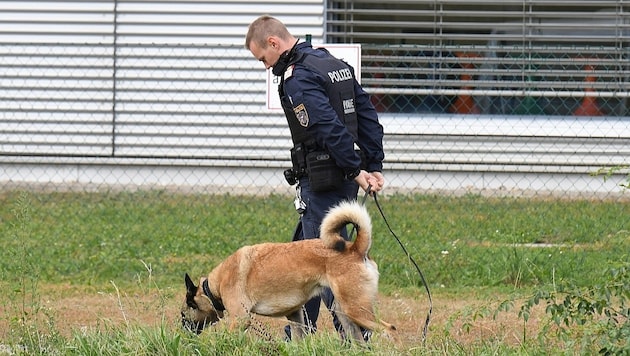 Ein Polizeihund spürte die Leiche des 35-Jährigen auf. (Bild: P. Huber)