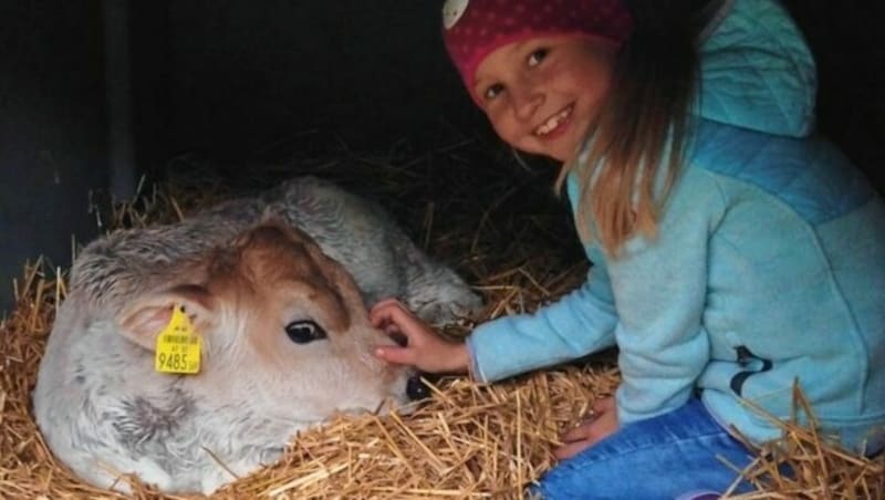 Auch Leni sorgt dafür, dass sich die Tiere rundum wohlfühlen. (Bild: Landwirtschaftskammer Tirol)