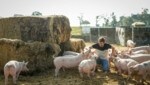 Martin Greul und seine glücklichen Schweine (Bild: Wenzel Markus)