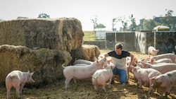 Martin Greul und seine glücklichen Schweine (Bild: Wenzel Markus)