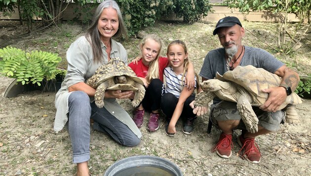 Die Schwestern Lottie und Maia besuchten mit Andrea Specht, Präsidentin des NÖ Tierschutzverbands, Markus Putzgruber und seine Schildkröten. (Bild: zVg)