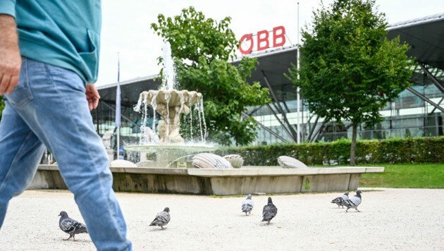 Beim Linzer Bahnhof gibt es viele Tauben. Zum Glück sind ihnen die meisten Leute gut gesinnt. (Bild: Alexander Schwarzl)