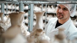 600 Tonnen Pilze wurden im Fleischlos-Betrieb von Thomas Neuburger schon verarbeitet. (Bild: Markus Wenzel)