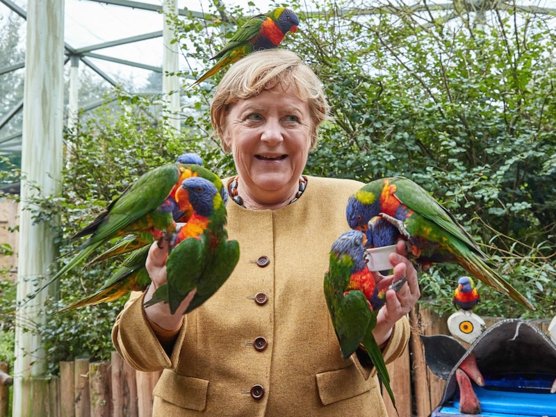 Auf diesem Bild ist Merkel noch bester Laune. Kurz darauf schnappt einer der farbenprächtigen Papageien zu. (Bild: APA/dpa/Georg Wendt)