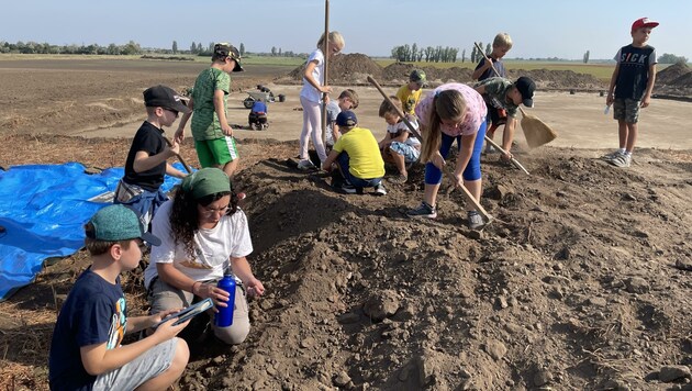 Die Kinder durften mit Studenten gemeinsam graben. (Bild: Volksschule Podersdorf)