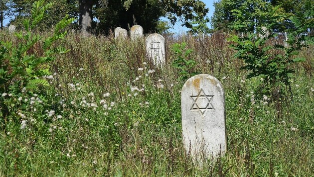 Grabsteine auf dem jüdischen Friedhof in Güssing (Bild: Huber Patrick)