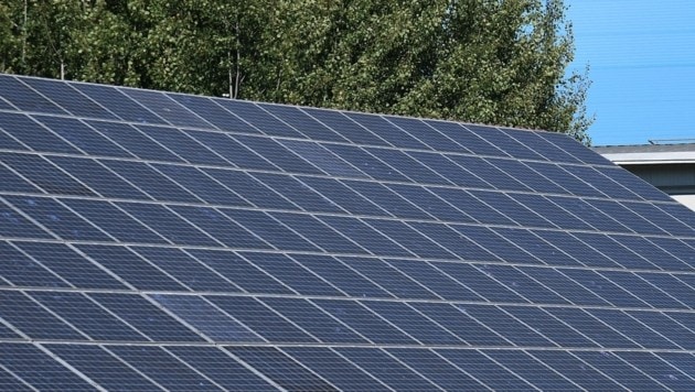 Bei Wimpassing war eine 52 Hektar große Photovoltaikanlage geplant. (Bild: P. Huber)