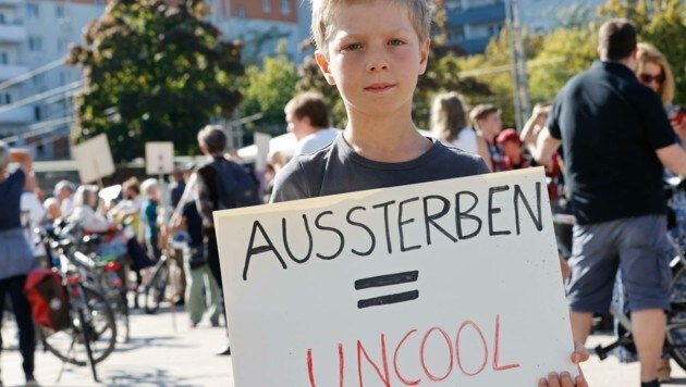 Lautstarker Protest in Salzburg (Bild: Tschepp Markus)