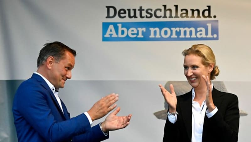 Tino Chrupalla wurde laut seiner Partei Opfer eines „tätlichen Vorfalls“, Parteifreundin Alice Weidel wiederum hat wegen einer „Bedrohungslage“ auf öffentliche Auftritte verzichten müssen. (Bild: APA/AFP/John MACDOUGALL)