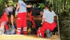 Der Bub wurde mit dem Traktor durch den Wald transportiert (Bild: FF Hofkirchen/Mkr.)