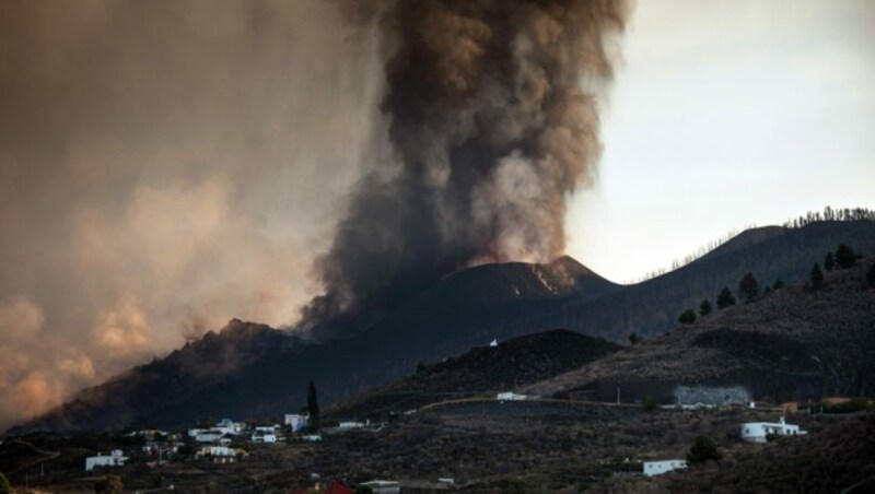 (Bild: AFP/Desiree Martin)