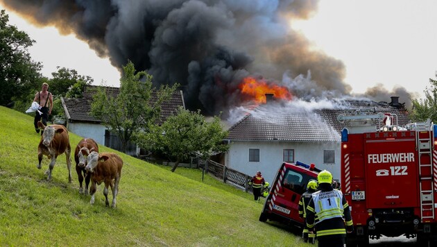 Die Feuerwehr rückte 2020 zu 3215 Bränden aus. Die Zahl der Fehlalarme ist in etwa gleich. (Bild: Kerschbaummayr Werner)