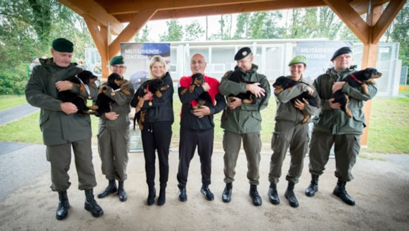 Die Welpen stammen aus Eigenzucht und werden später als Diensthunde im Einsatz sein. (Bild: Bundesheer/Carina KARLOVITS)