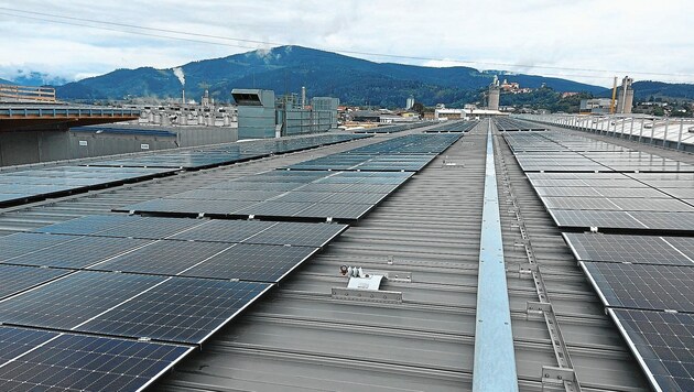 Die Tilly Holzindustrie in Althofen hat gleich drei Produktionshallen mit Fotovoltaik-Modulen ausstatten lassen. (Bild: Andreas Walcher)