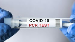 Symbolfoto: PCR-Test (Bild: scaliger/stock.adobe.com)
